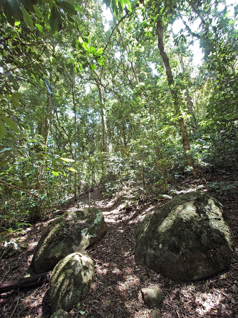 20241026_110021