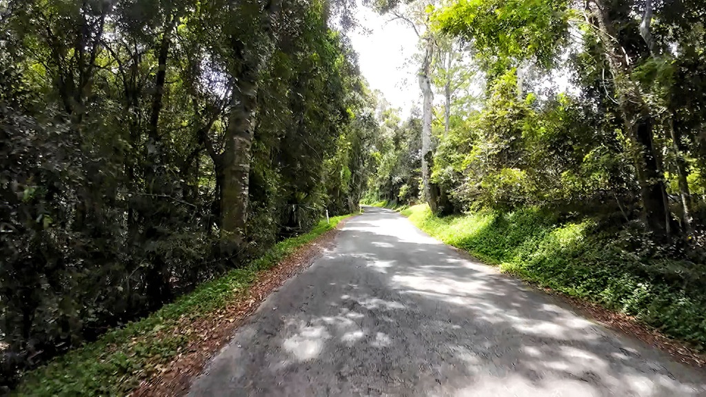 DJI_20241026115746_0744_D.MP4_snapshot_14.11.591