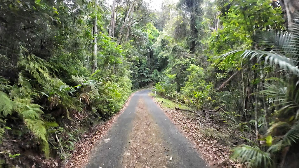 DJI_20241026155017_0747_D.MP4_snapshot_01.17.669