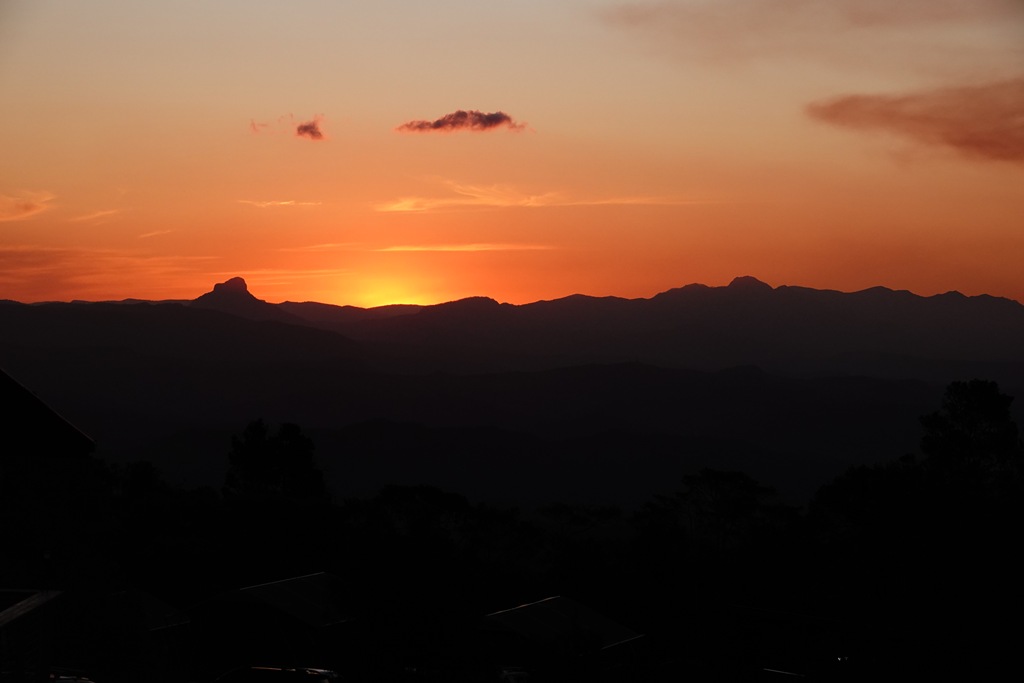 DSC02596 DSC02596