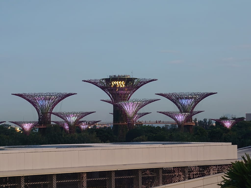 20241003_190558