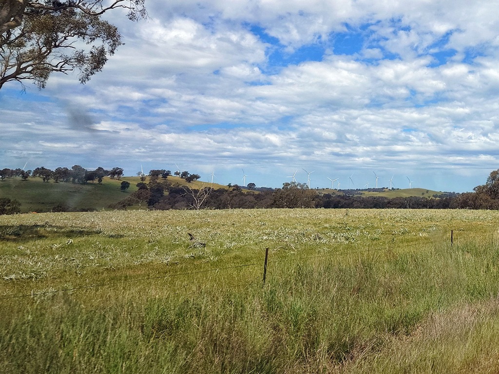 20241104_150331