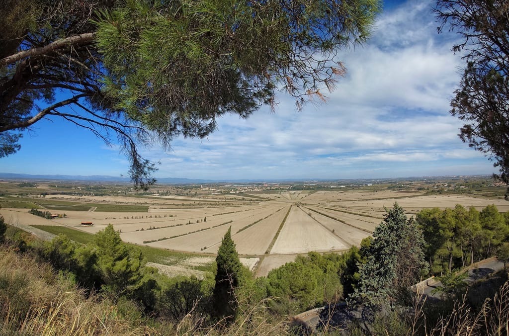 20251008_135647 Panorama