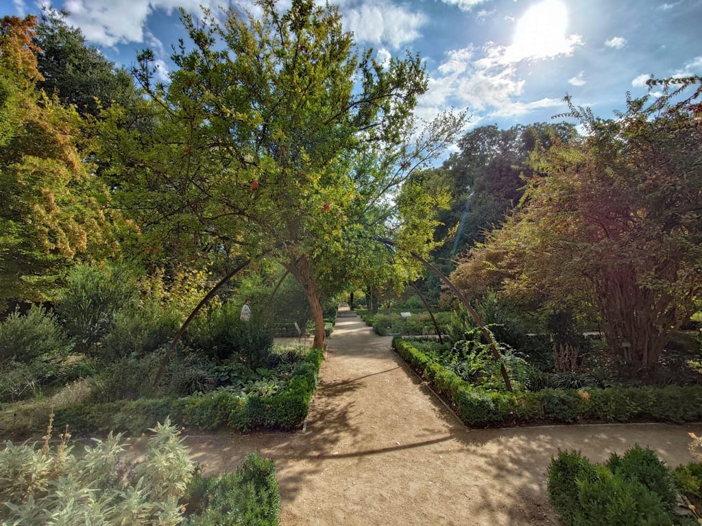 20251017_152159