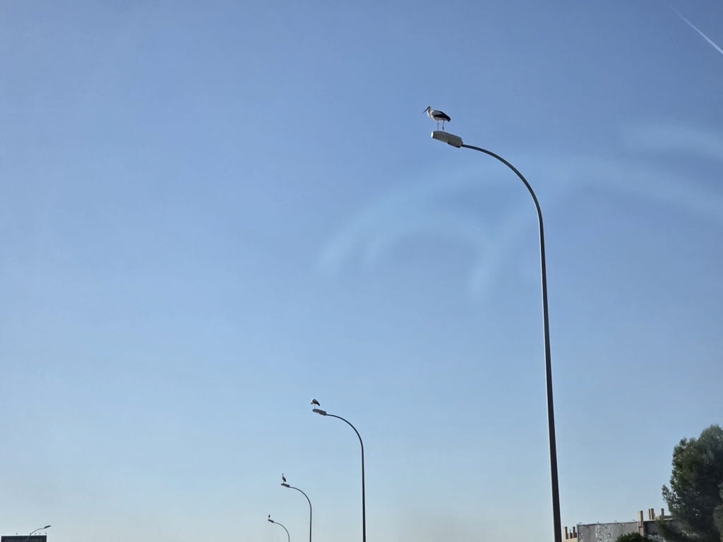 20251018_111649