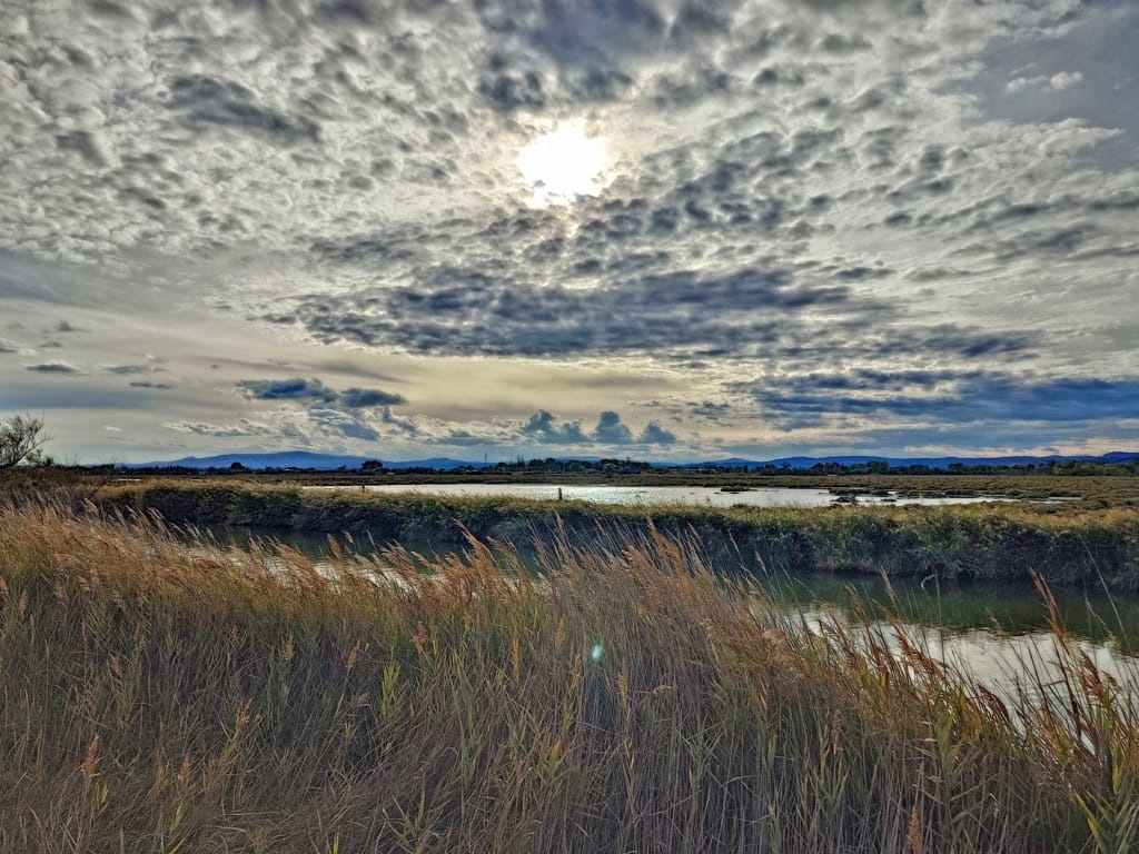 20251022_164234