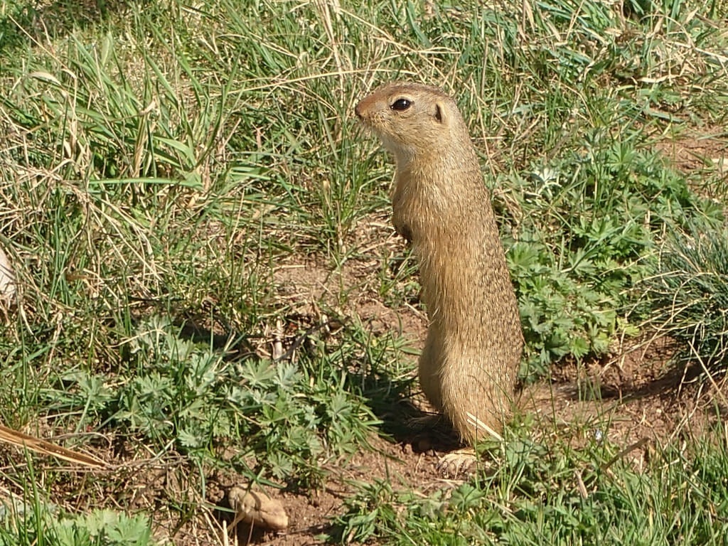 20260314_120619901_re