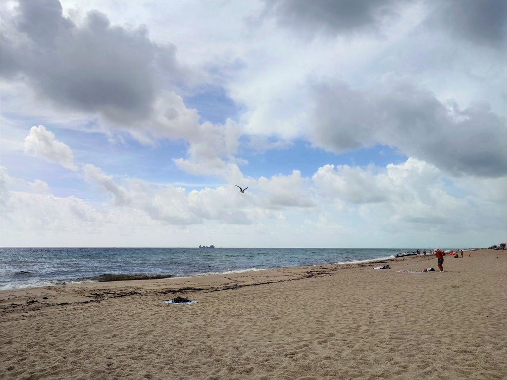 Ein breiter Sandstrand mit Treibgut und Wellen. Rechts stehen Strandgäste, links im Horizont ein Schiff. Ein Vogel fliegt zentral vor einem bewölkten Himmel