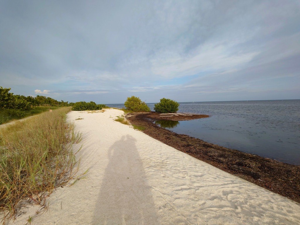 Ein weißer Sandweg neben hohem Gras und Bucht mit Seegras. Der lange Personenschatten liegt auf dem Sand. Rechts ist blaues Wasser, darüber bewölkter Himmel