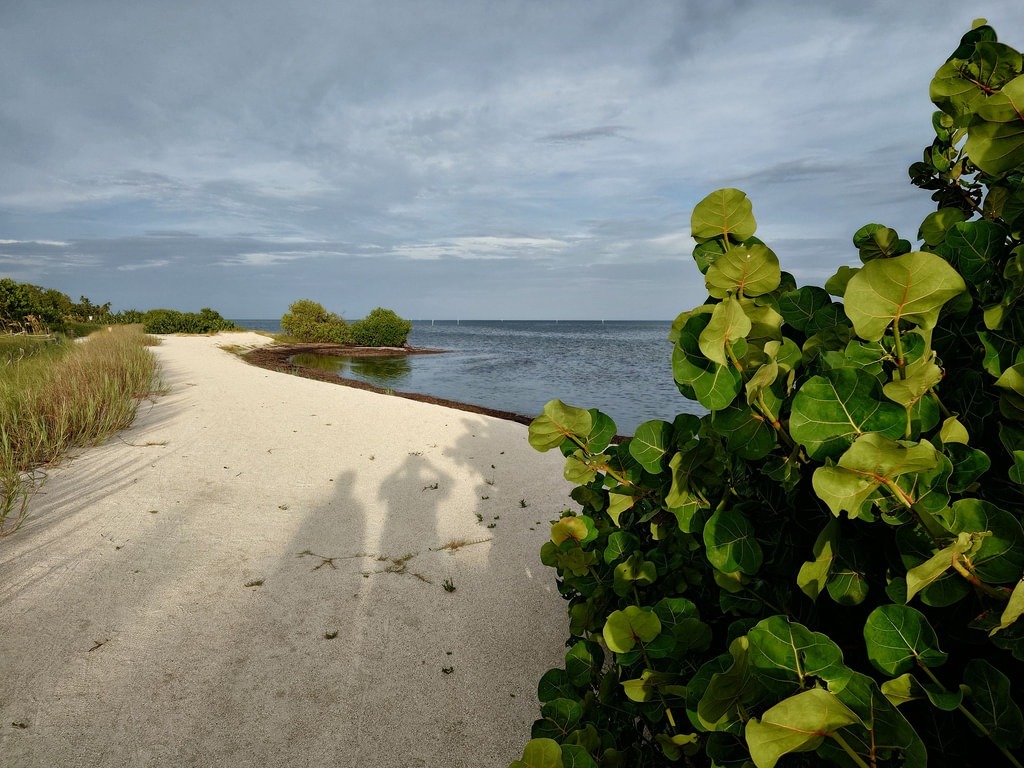 Ein Sandweg führt zum Meer, rechts steht ein Strauch mit großen Blättern. Im Sand sind die Schatten von zwei Personen zu sehen, der Himmel ist bewölkt