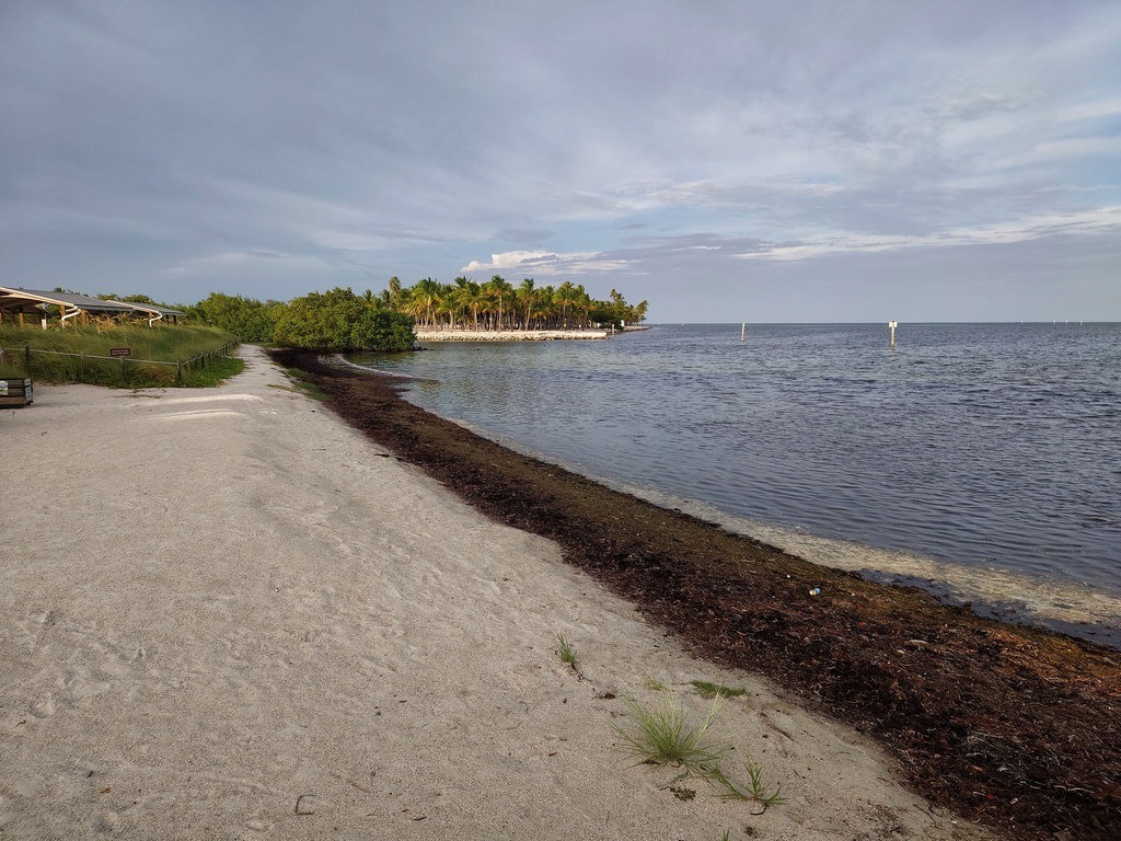 Weißer Sandstrand mit dunklem Treibgut am Ufer, rechts ruhiges Wasser. Links ein Weg am grünen Saum, im Hintergrund eine kleine Landzunge mit Palmen