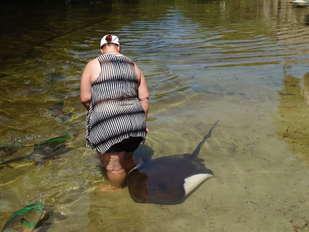 Eine Person in einem schwarz-weiß gestreiften Kleid steht im flachen Wasser und hält Ausschau nach einem großen Rochen, der direkt neben ihr liegt