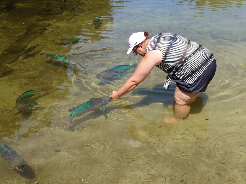 Eine Frau mit weißem Hut steht im seichten Wasser und greift nach einem großen, bunt schillernden Fisch, während im Hintergrund weitere Fische zu sehen sind