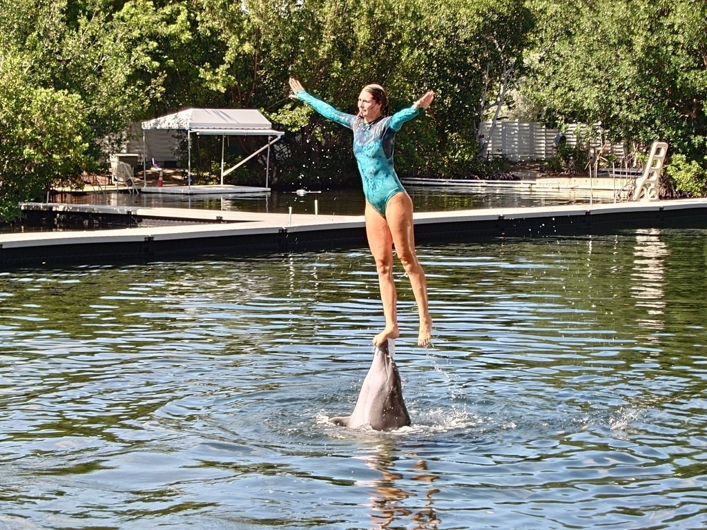 Eine Frau in einem blau-grünen Badeanzug steht auf der Schnauze eines Delfins im Wasser und streckt die Arme aus. Der Hintergrund zeigt einen Steg mit grüner Vegetation