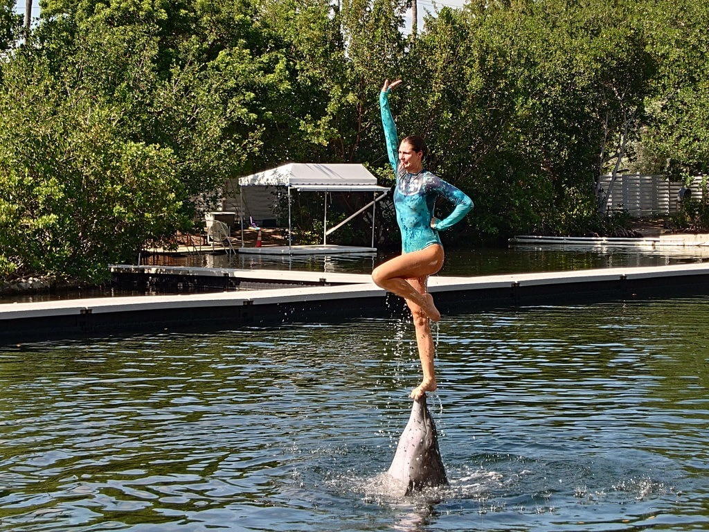 Eine Frau in einem türkisblauen Badeanzug balanciert auf dem Schnabel eines Delfins, der aus dem Wasser steigt, und hebt dabei einen Arm in die Höhe
