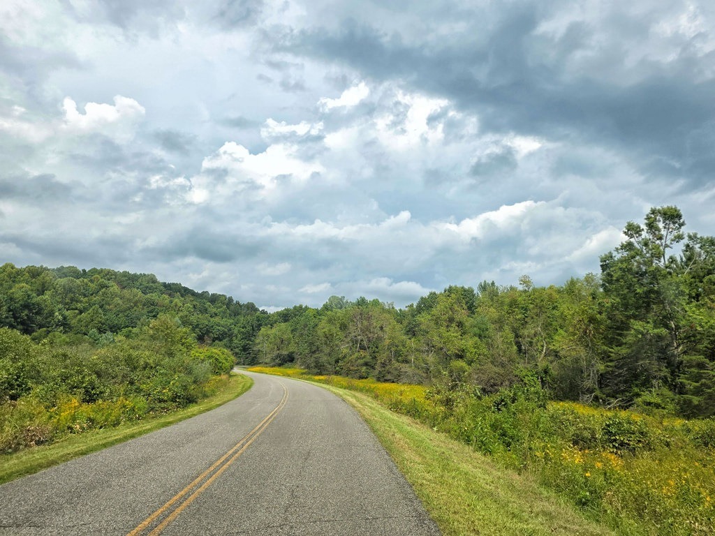Eine asphaltierte Landstraße mit zwei gelben Leitlinien windet sich durch grüne Bäume und gelbe Blumen unter einem von grauen Wolken bedeckten Himmel