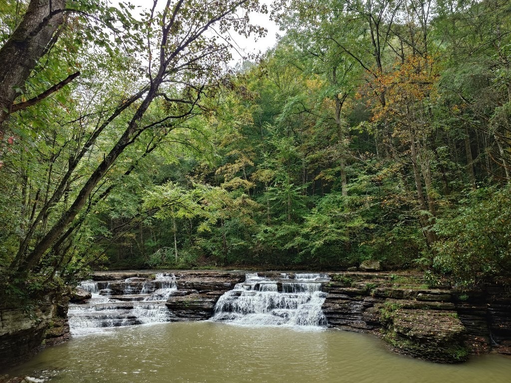 Ein breiter Wasserfall fließt über mehrere felsige Stufen in ein ruhiges Becken. Dichter grüner Laubwald mit hohen Bäumen umgibt die Stromschnelle
