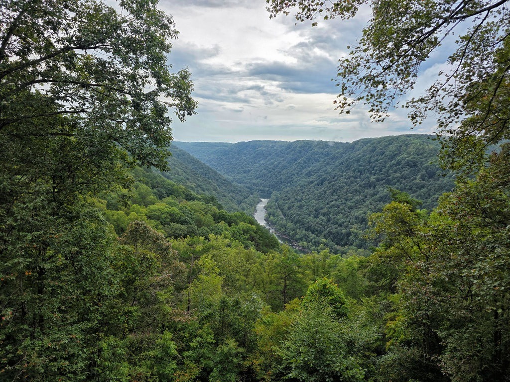 Dichte Bäume bedecken die steilen Hänge eines tiefen Tals, durch das ein Fluss fließt, umrahmt von Bäumen im Vordergrund unter einem bewölkten Himmel