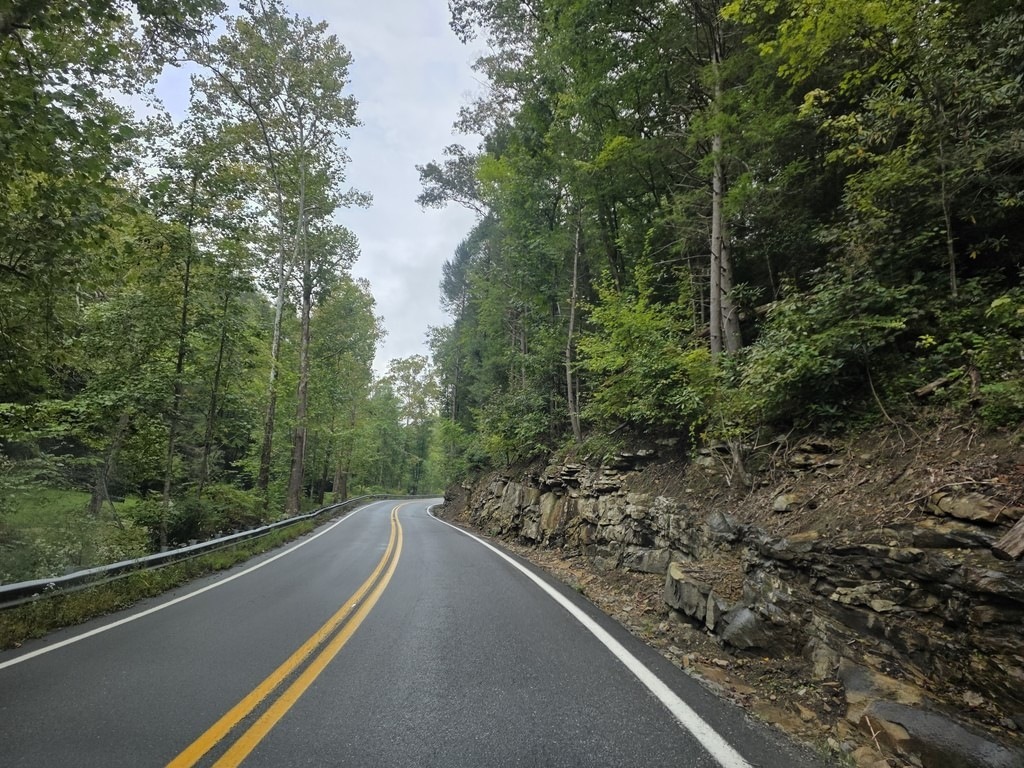 Asphaltstraße mit zwei gelben Mittellinien windet sich durch dichten Wald. Links schützt ein Geländer den Straßenrand, rechts erhebt sich eine felsige Böschung