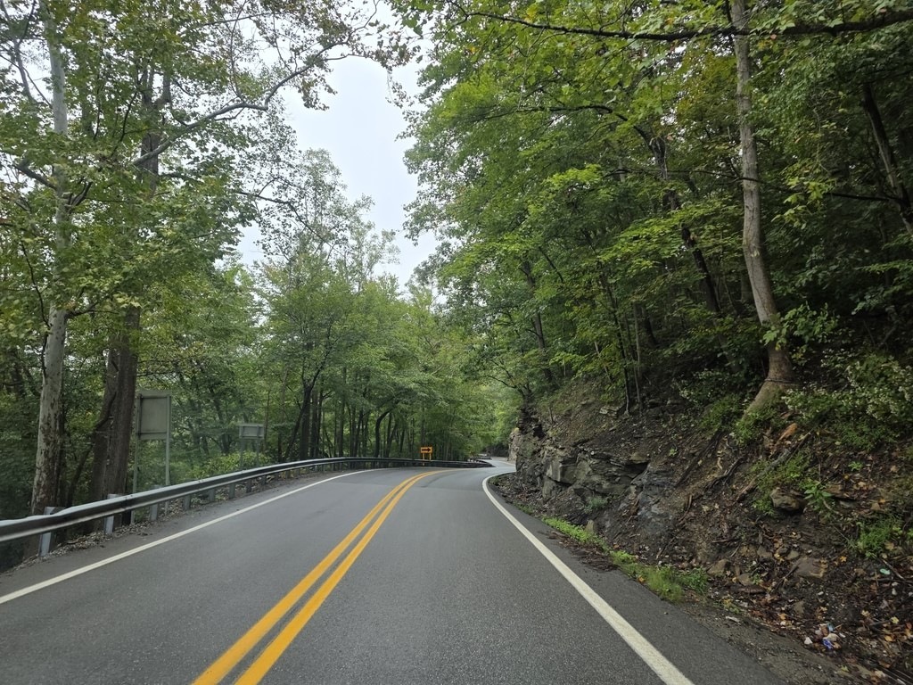 Eine asphaltierte Straße mit gelben Mittelmarkierungen windet sich durch einen dichten grünen Wald, rechts grenzt eine felsige Böschung an, links eine Schutzplanke