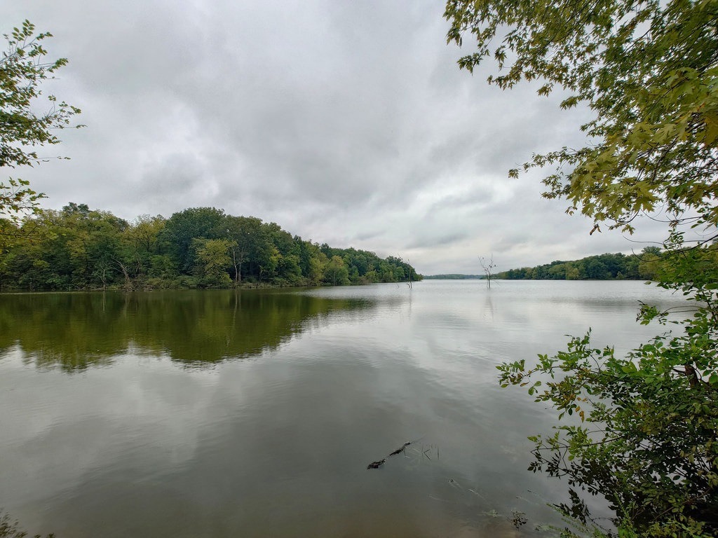 Ein ruhiges Gewässer spiegelt den bewölkten Himmel wider, umgeben von dichten Bäumen am Ufer. Im Vordergrund blicken grüne Blätter ins Bild und einzelne Bäume stehen direkt im Wasser