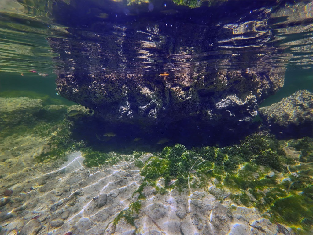 Unterwasseransicht eines großen dunklen Felsens unter der Wasseroberfläche, umgeben von mit grünen Algen bewachsenen Steinen und kleinen Fischen im klaren Wasser