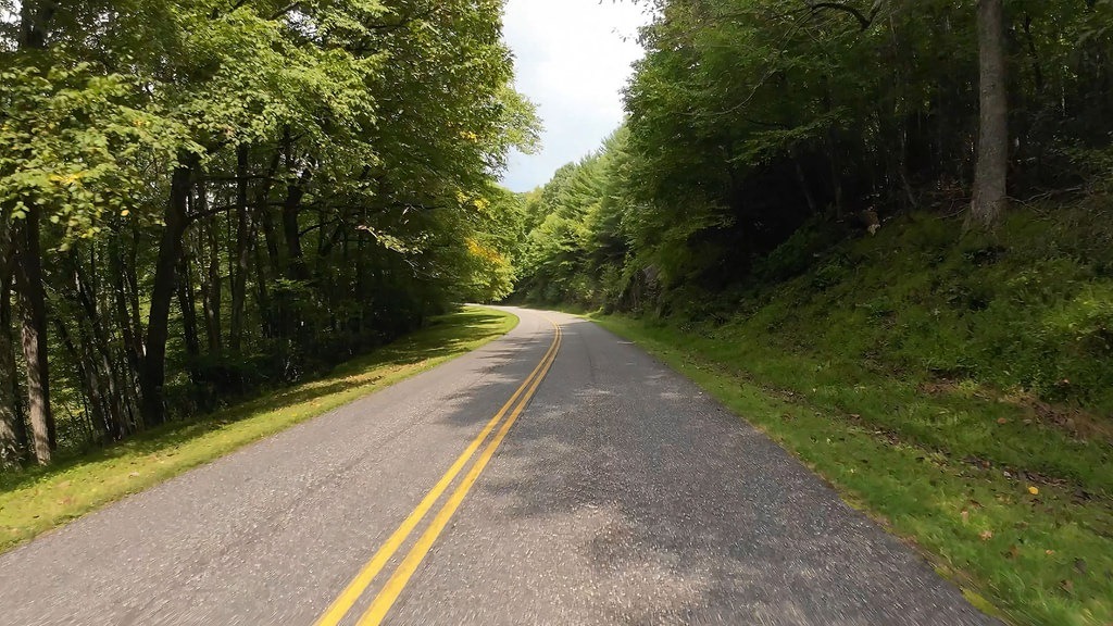 Eine asphaltierte Straße mit doppelten gelben Linien biegt links durch dichten grünen Wald. Bäume säumen den Weg, und Schatten liegen auf der Fahrbahn