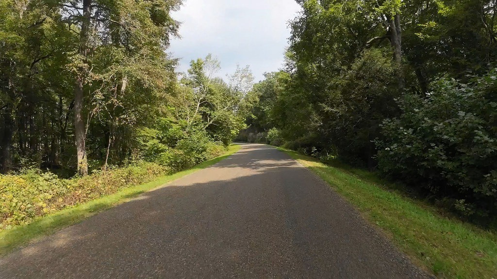 Die asphaltierte Straße verläuft durch dichten grünen Wald. Bäume säumen den Weg auf beiden Seiten, und im Hintergrund ist ein heller Himmel mit leichten Wolken zu erkennen