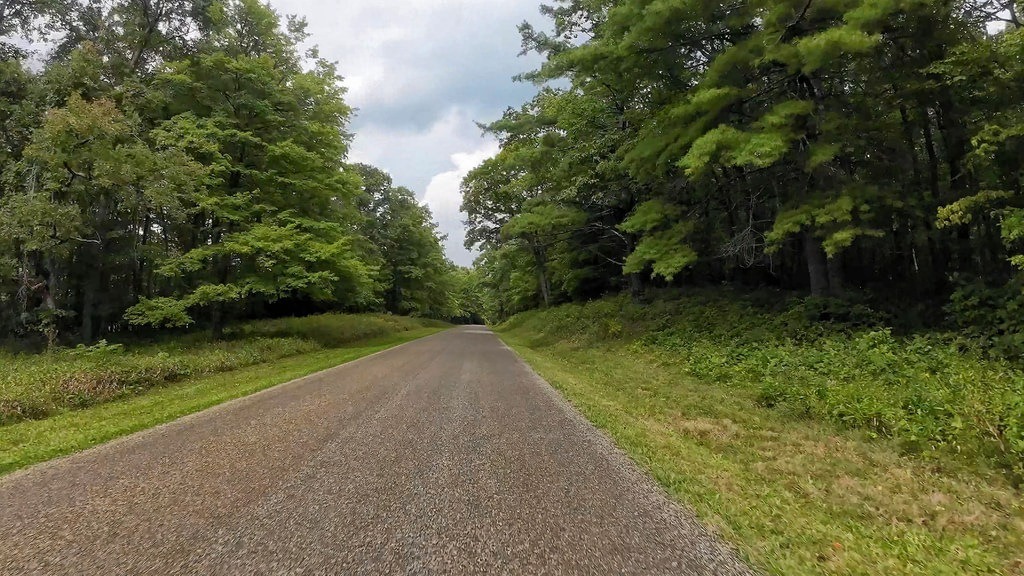 Eine asphaltierte Straße verläuft durch dichten grünen Wald bis in die Ferne, gesäumt von hohen Bäumen unter einem hellen Himmel