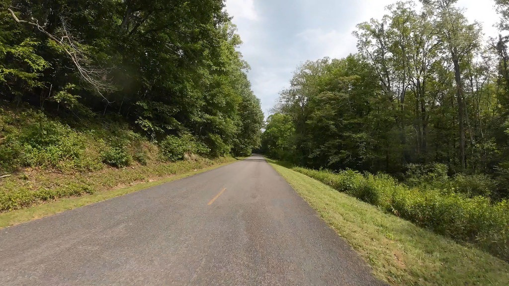 Eine asphaltierte Straße führt durch dichten grünen Wald. Hohe Bäume säumen den Weg auf beiden Seiten unter einem teilweise bewölkten Himmel
