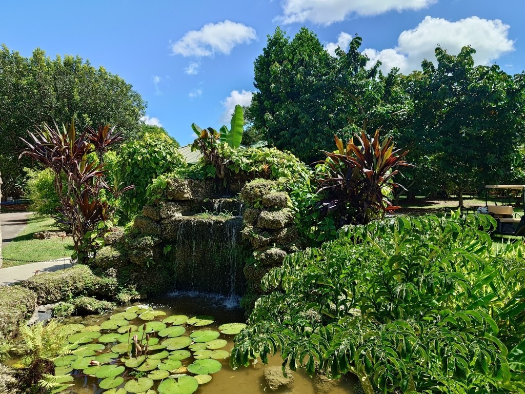 Ein künstlicher Wasserfall aus Natursteinen ergießt sich in einen von grünen Seerosenblättern bedeckten Gartenteich, umgeben von dunklen rotblättrigen Ti-Pflanzen, saftig grünen Farnen und dichten tropischen Bäumen unter blauem Himmel mit weißen Wolken