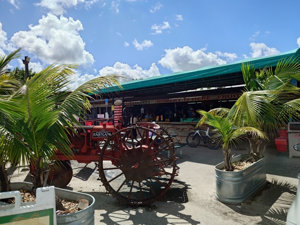 Ein roter, historischer Farmall-Traktor mit großen Metallspeichenrädern steht vor einem bunten Obststand mit grünem Sonnendach, flankiert von saftig grünen Palmen in Metalltrögen unter strahlend blauem Himmel mit weißen Wolken