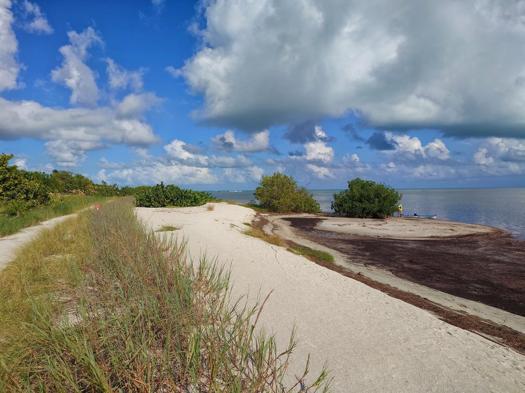 Heller Sandpfad führt durch niedrige Grasbüschel und grüne Sträucher zu einer ruhigen Küste mit angeschwemmtem Seegras, während ein leuchtend blauer Himmel mit weissen Wolken das weite Meer überspannt