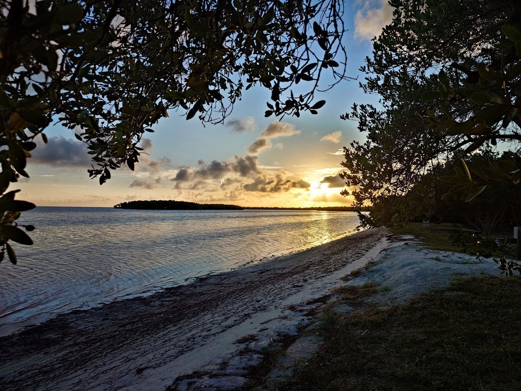 Goldgelber Sonnenuntergang am ruhigen Meeresufer mit sandigem Strandstreifen, umrahmt von dunklen Baumkronen im Vordergrund und einer bewaldeten Insel im weiten Horizont