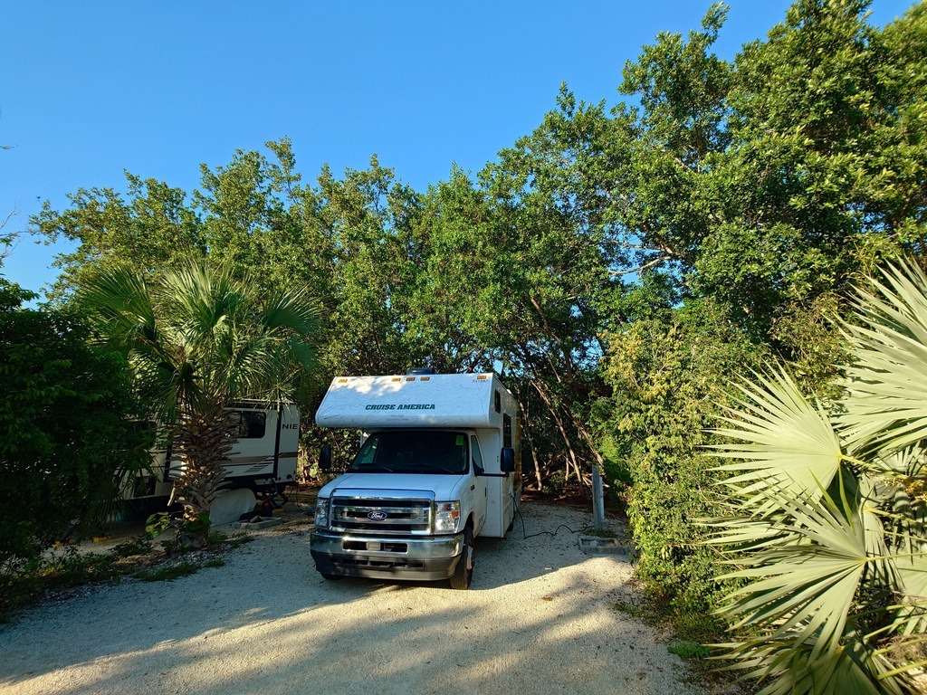 Weißes Cruise-America-Wohnmobil auf Ford-Basis auf einem hellen Schotterstellplatz, umgeben von üppigen Palmen und dichten Laubbäumen unter strahlend blauem Himmel